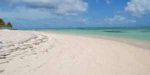 Sublime Pigeon Point